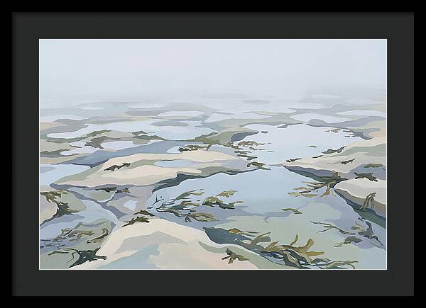Coastal Rock Pools Revealed By Extreme Low Tide
