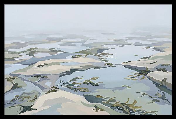 Coastal Rock Pools Revealed By Extreme Low Tide