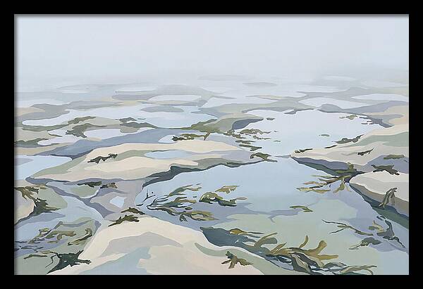 Coastal Rock Pools Revealed By Extreme Low Tide