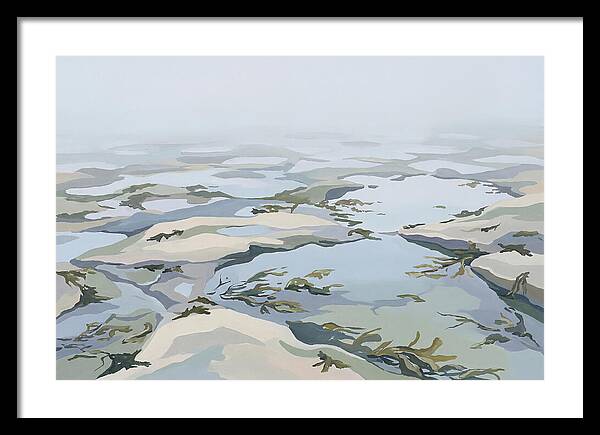 Coastal Rock Pools Revealed By Extreme Low Tide