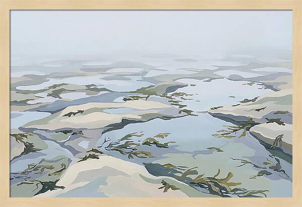 Coastal Rock Pools Revealed By Extreme Low Tide