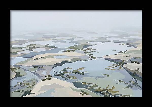 Coastal Rock Pools Revealed By Extreme Low Tide