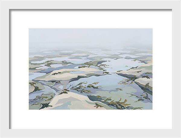 Coastal Rock Pools Revealed By Extreme Low Tide