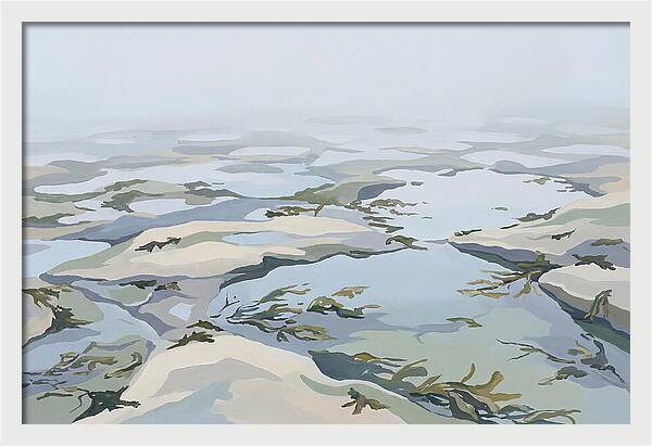 Coastal Rock Pools Revealed By Extreme Low Tide