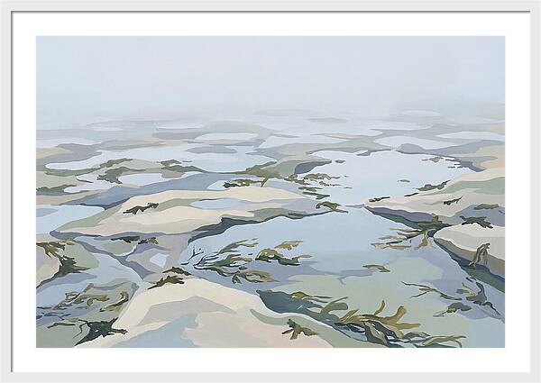 Coastal Rock Pools Revealed By Extreme Low Tide