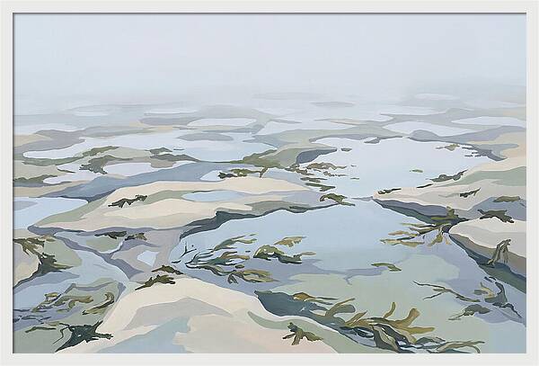 Coastal Rock Pools Revealed By Extreme Low Tide