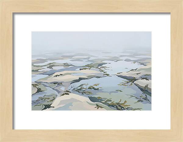 Coastal Rock Pools Revealed By Extreme Low Tide