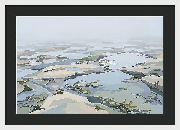 Coastal Rock Pools Revealed By Extreme Low Tide