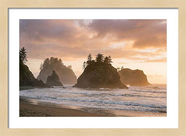 Coastal Serenity At Fernando De Noronha