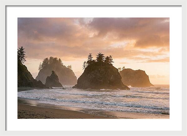 Coastal Serenity At Fernando De Noronha