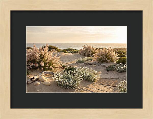 Coastal Serenity At Sunset