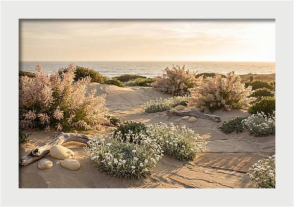 Coastal Serenity At Sunset