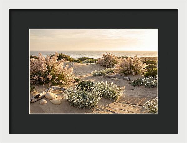 Coastal Serenity At Sunset