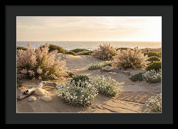 Coastal Serenity At Sunset