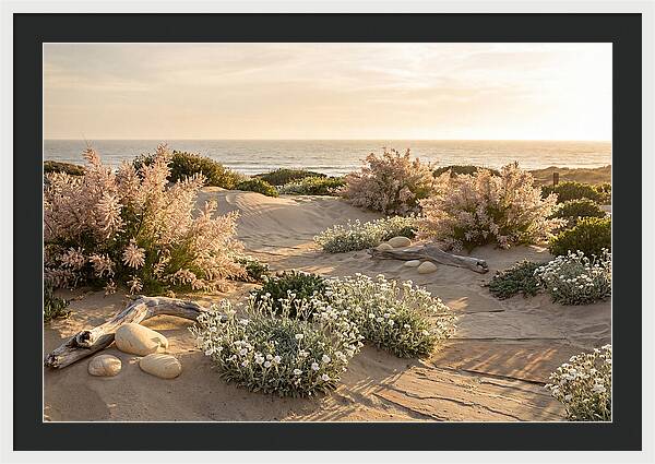 Coastal Serenity At Sunset