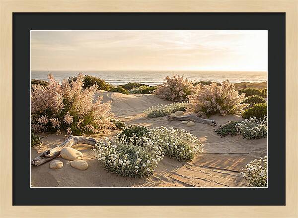 Coastal Serenity At Sunset