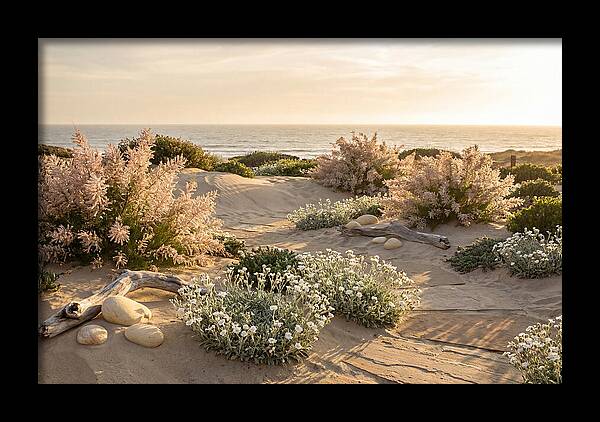 Coastal Serenity At Sunset