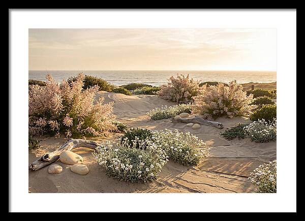 Coastal Serenity At Sunset