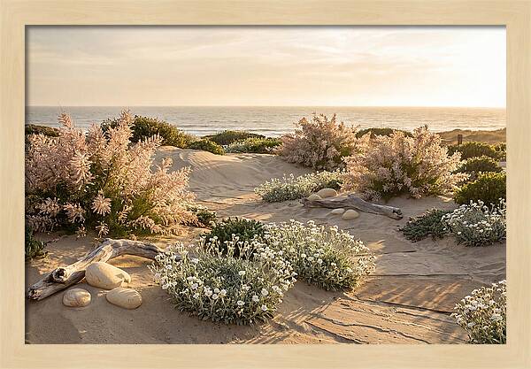 Coastal Serenity At Sunset