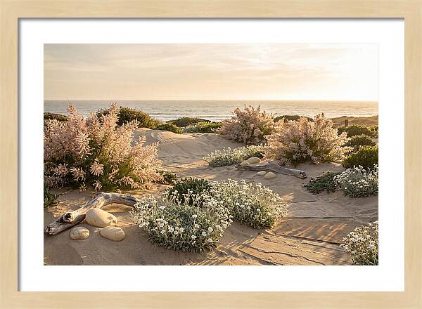 Coastal Serenity At Sunset