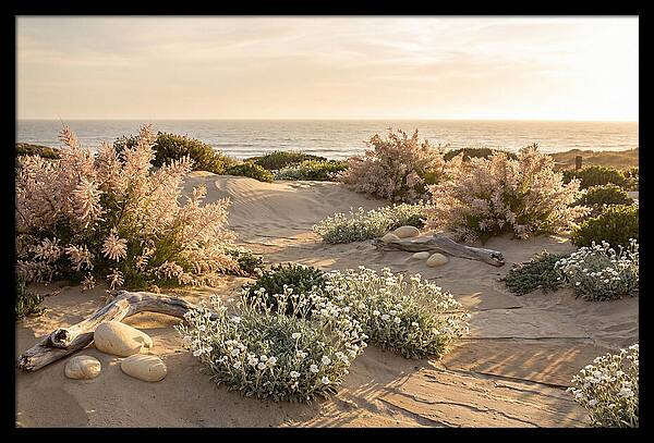 Coastal Serenity At Sunset