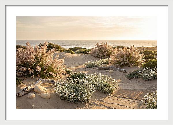 Coastal Serenity At Sunset