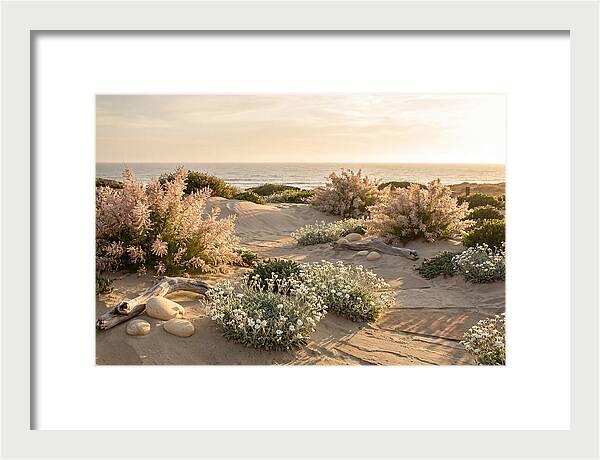 Coastal Serenity At Sunset