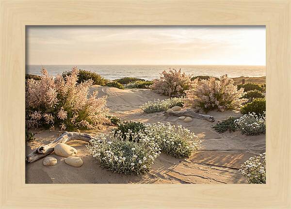 Coastal Serenity At Sunset