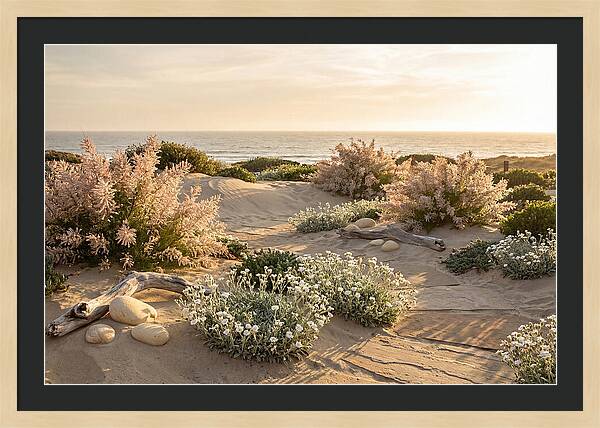 Coastal Serenity At Sunset