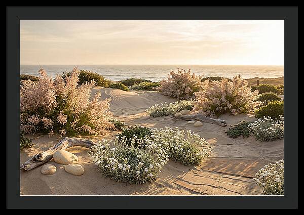 Coastal Serenity At Sunset