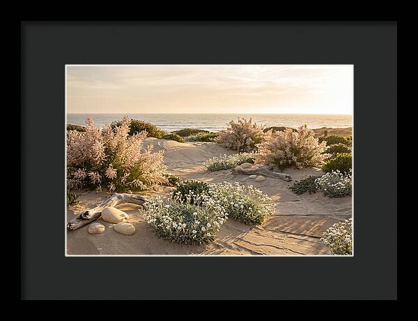 Coastal Serenity At Sunset