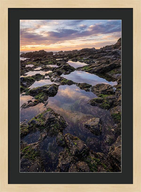 Coastal Serenity