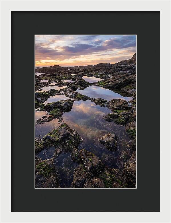 Coastal Serenity