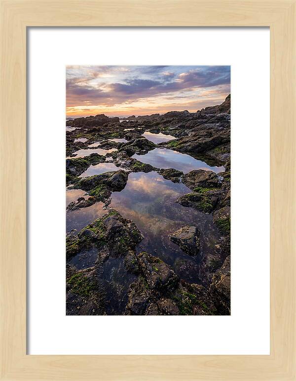 Coastal Serenity