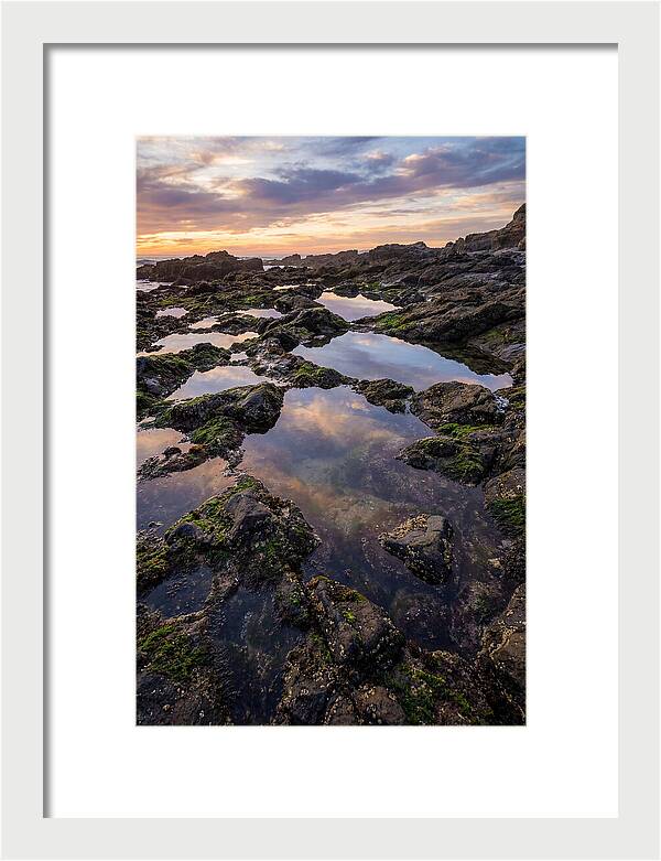 Coastal Serenity