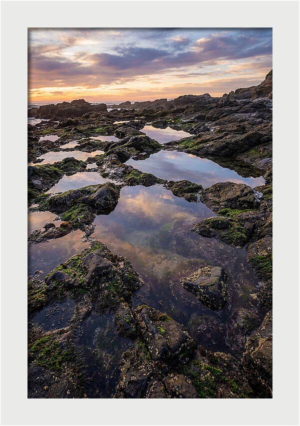 Coastal Serenity