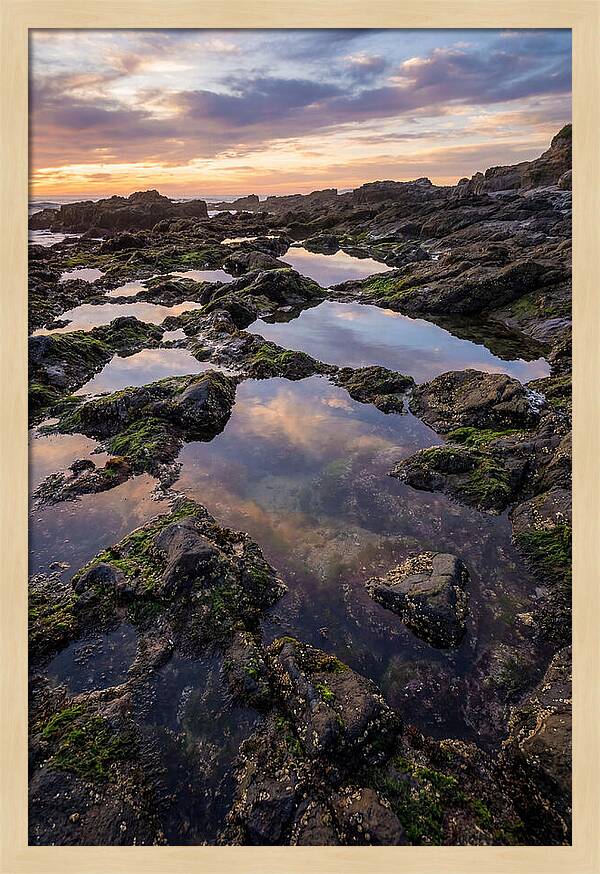 Coastal Serenity