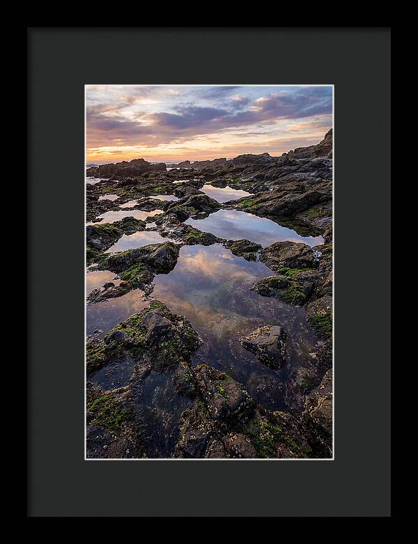 Coastal Serenity