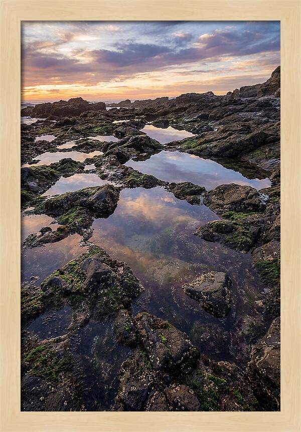 Coastal Serenity