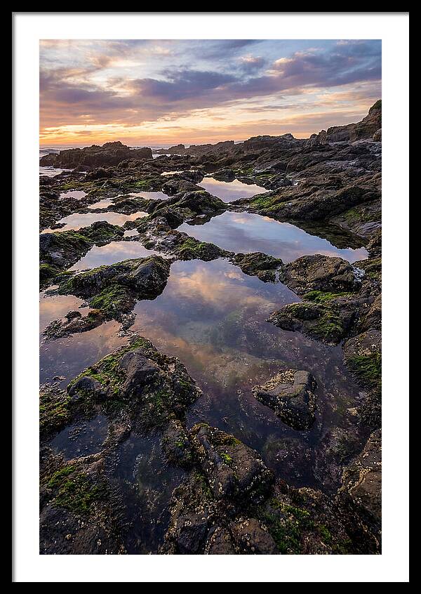 Coastal Serenity