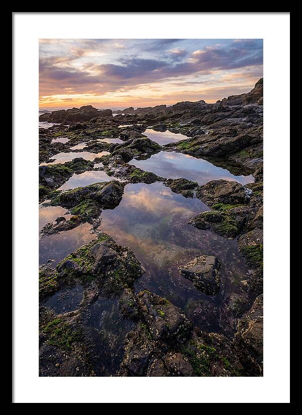 Coastal Serenity