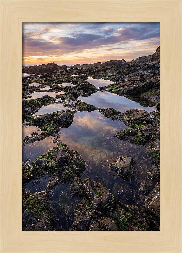 Coastal Serenity