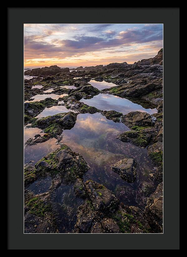Coastal Serenity