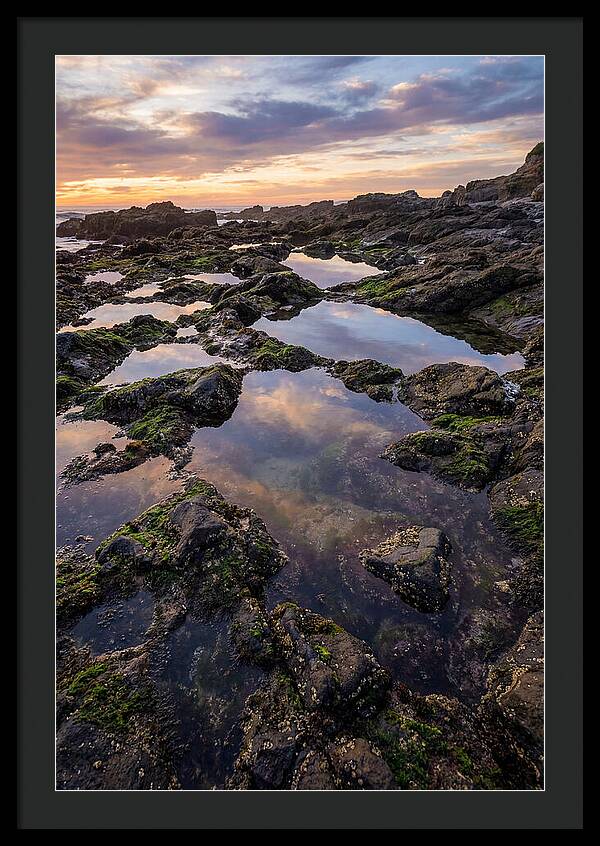 Coastal Serenity
