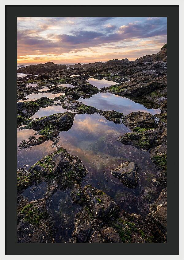 Coastal Serenity