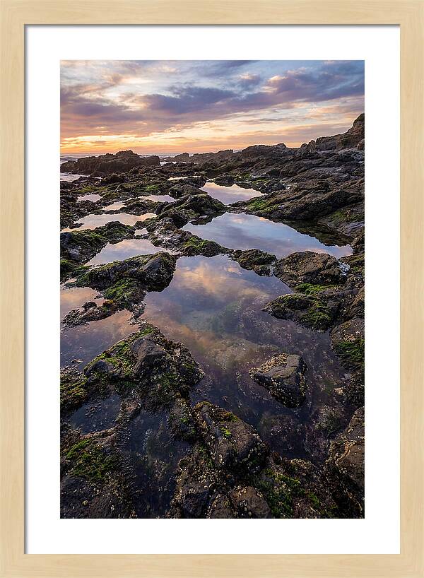 Coastal Serenity