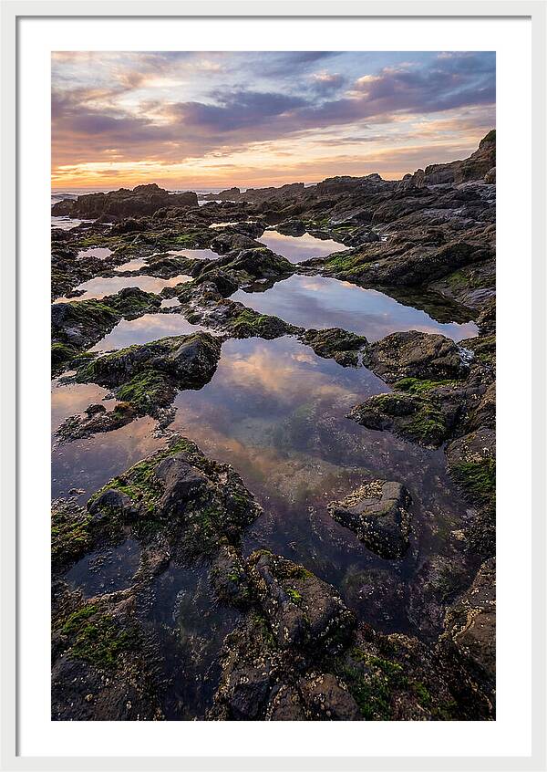 Coastal Serenity