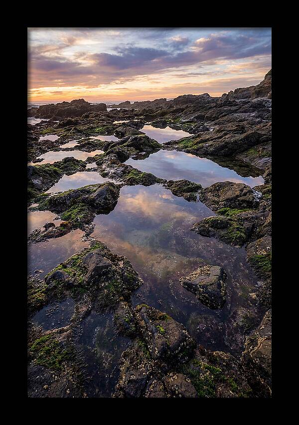 Coastal Serenity