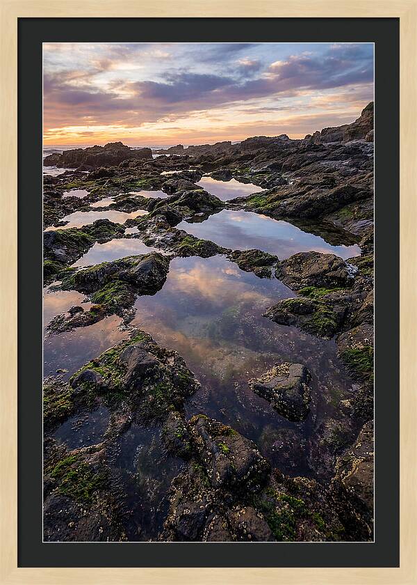 Coastal Serenity