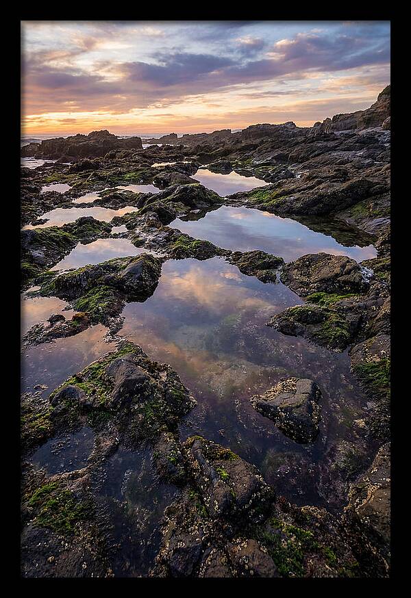 Coastal Serenity